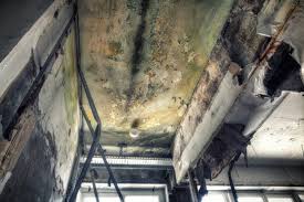 Best Mold Removal for HVAC Installations  in Fairfax, VA